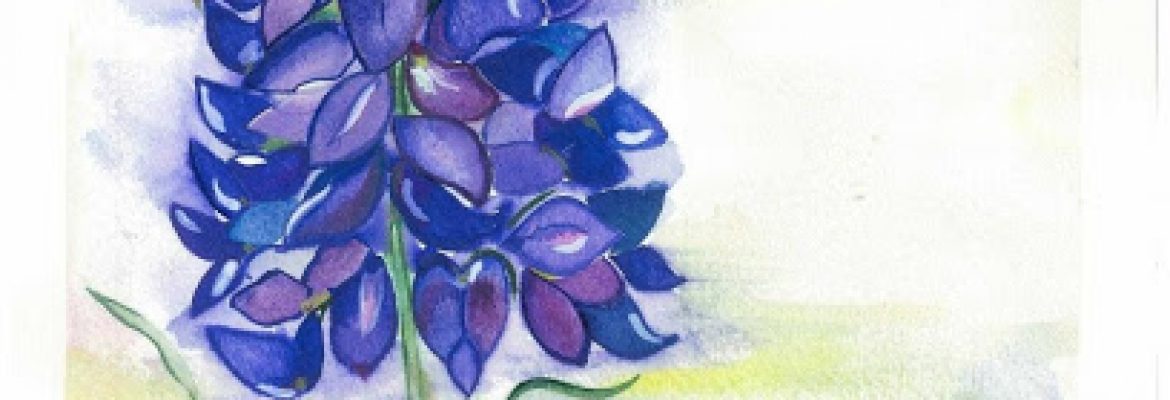 hospice in canyon lake tx – Blue Bonnet Palliative Care