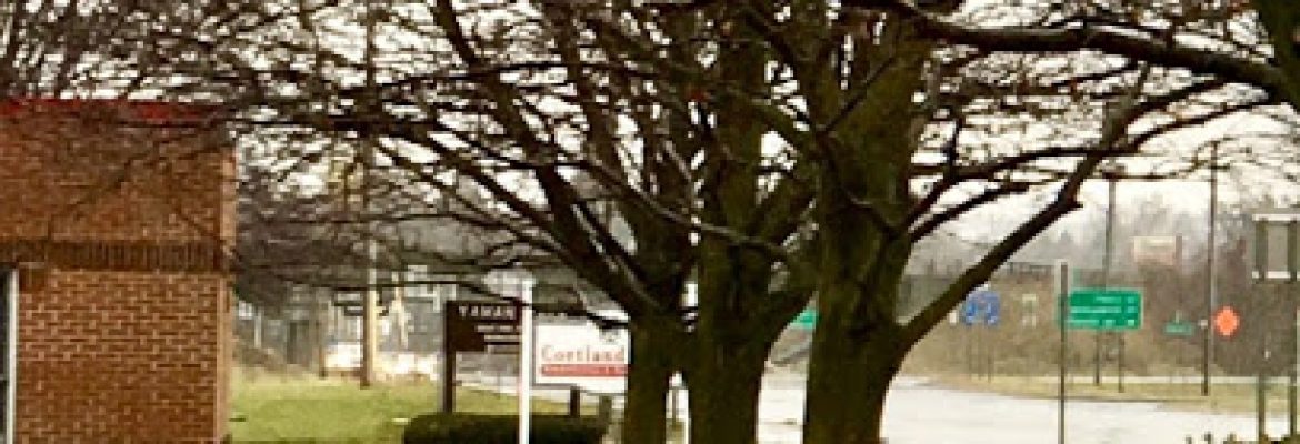 hospice in cincinnatus ny – Hospicare & Palliative Care Services