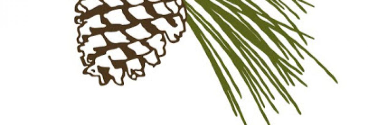 hospice in clearview city ks – Evergreen Hospice Care, LLC