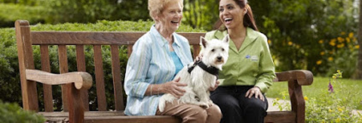 home health care in north brookfield ma – Comfort Keepers Home Care